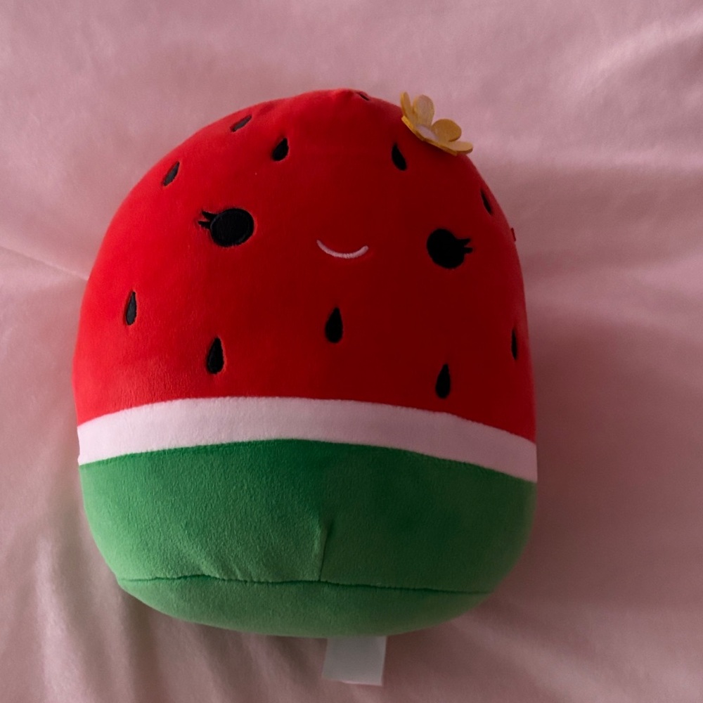 Squishmallows Red and Green Watermelon Plush